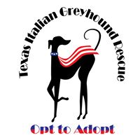 Texas Italian Greyhound Rescue